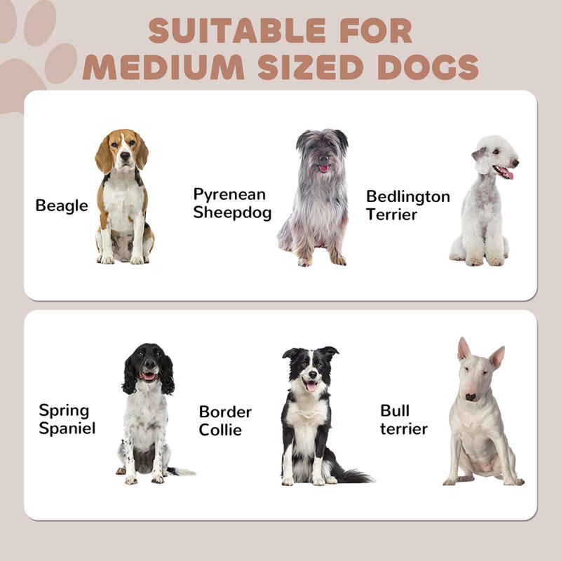 PawHut Pet Feeding Station, Do - Food Storage In Cabinets ulasan dan harga