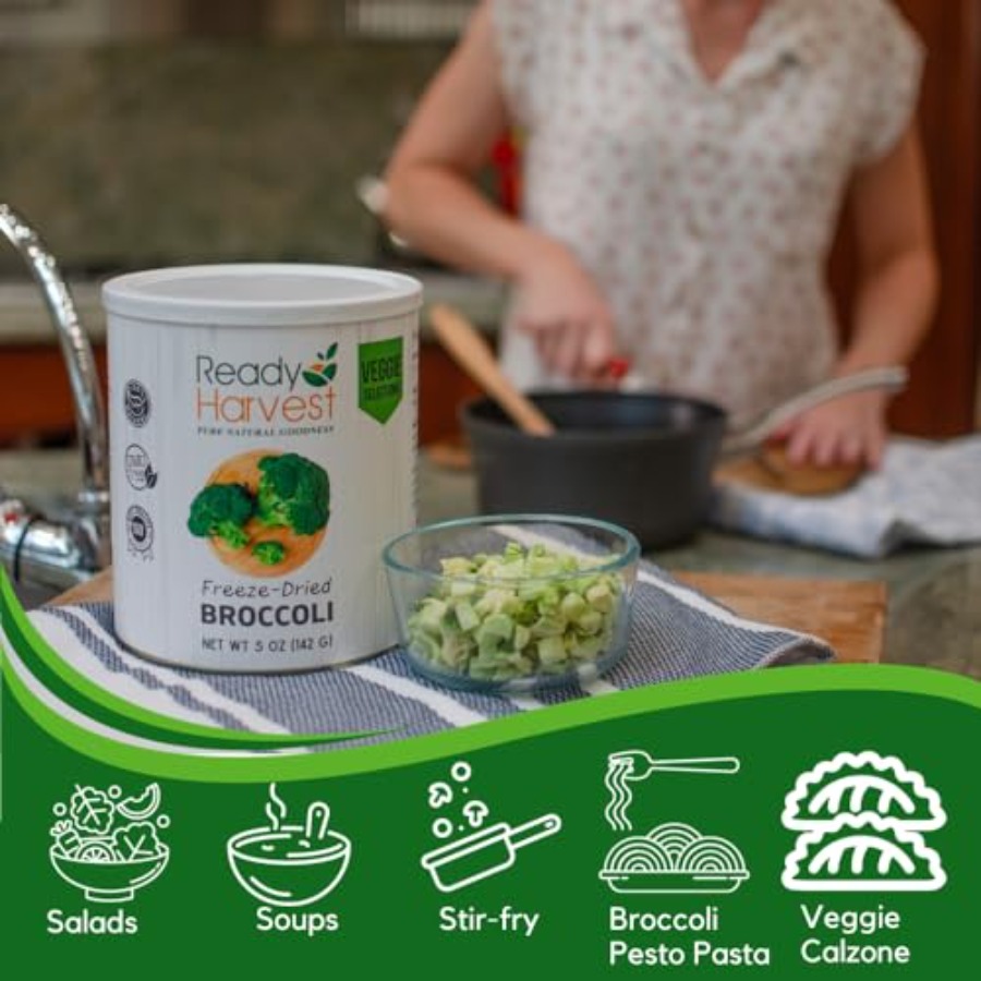 Freeze Dried Food - Broccoli F - Food Storage Emergency ulasan dan harga