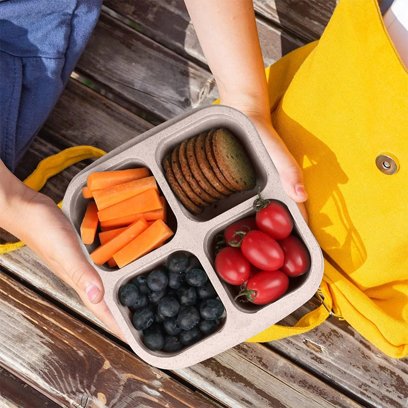 4 Grids Food Storage Box Porta - Food Storage Safe ulasan dan harga