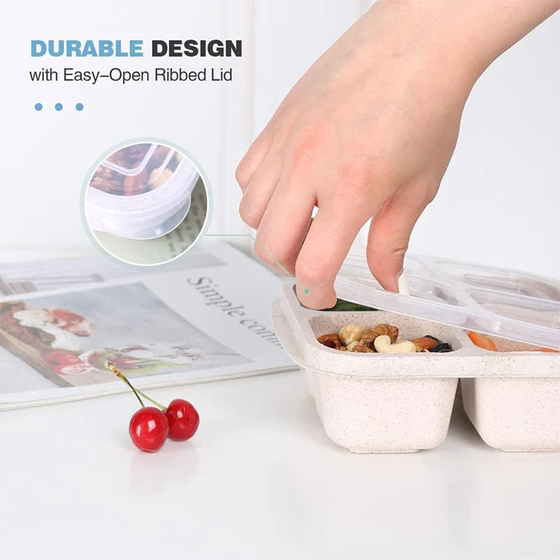 4 Grids Food Storage Box Porta - Food Storage Safe ulasan dan harga