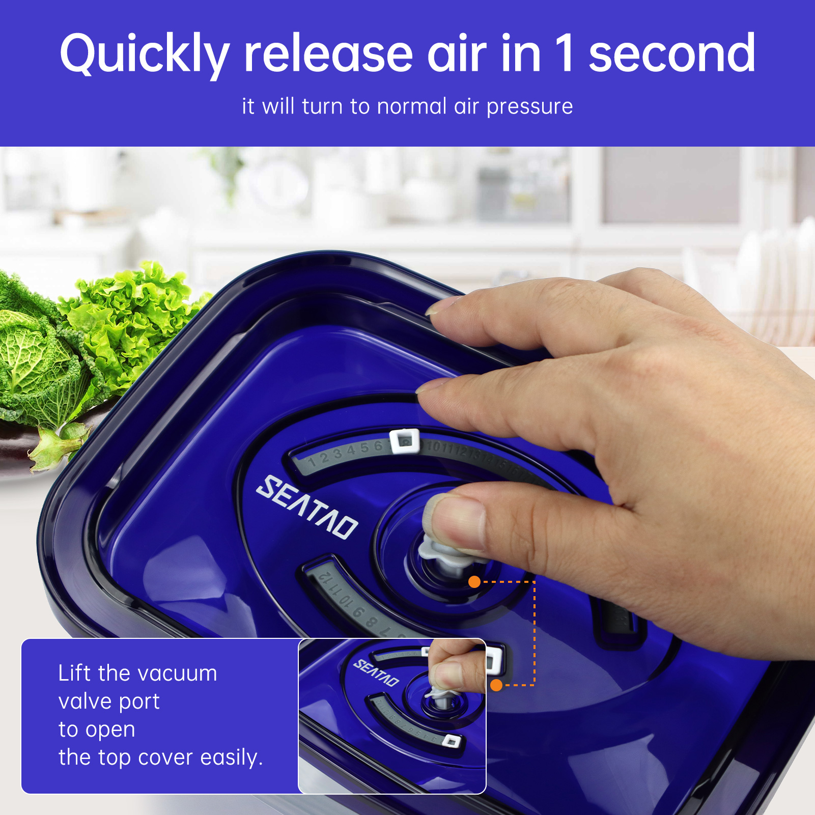 SEATAO Glass Food Storage Cont - Food Storage Vacuum ulasan dan harga